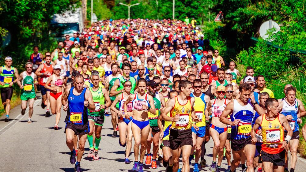 Akcja Sportowa 2024