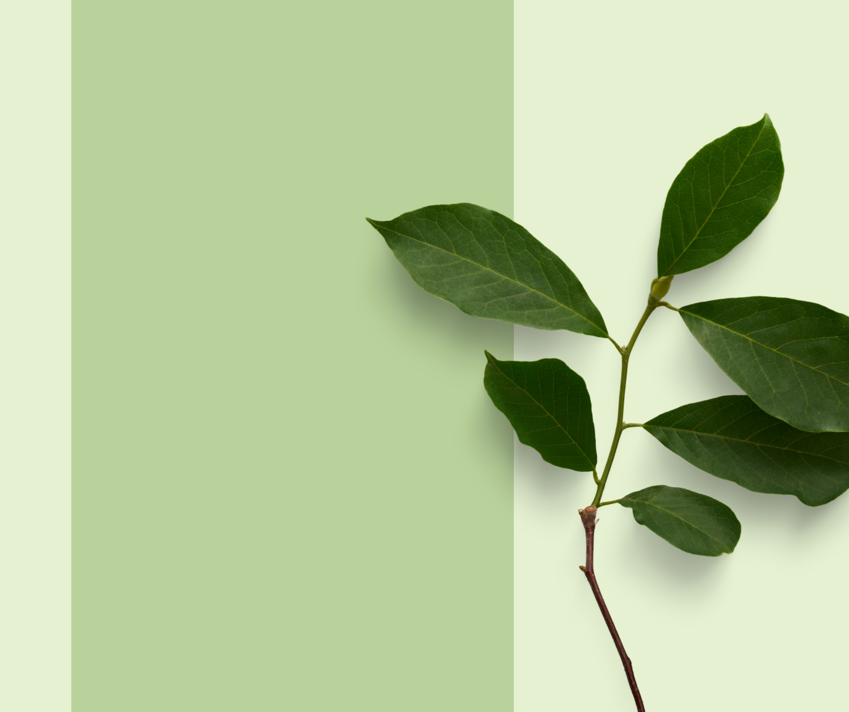 Zero waste w kuchni